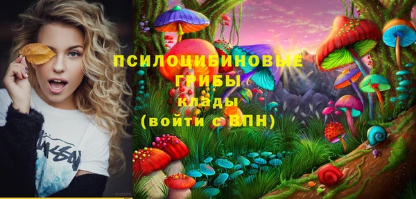 apvp Лихославль