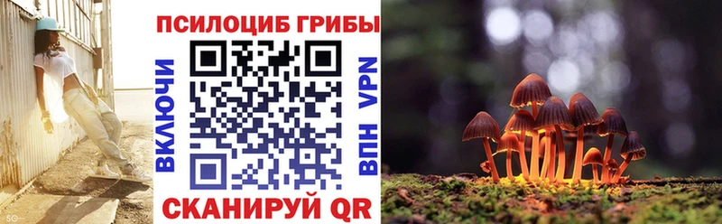 Псилоцибиновые грибы MAGIC MUSHROOMS  Медвежьегорск 